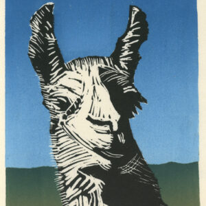 Me Llama