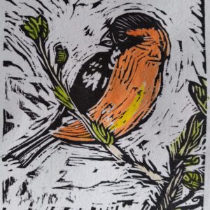 Black Headed Grosbeak