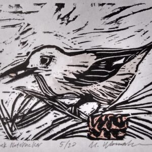 Clark's Nutcracker