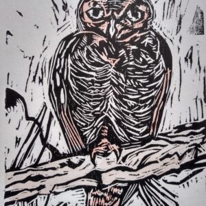 Great Horned Owl