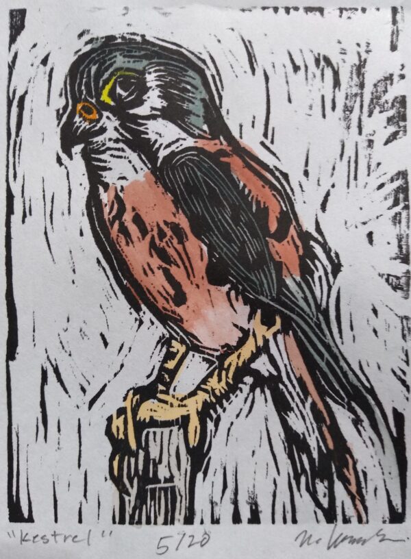 Kestrel