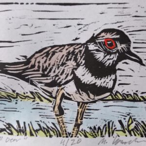 Killdeer