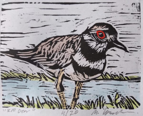 Killdeer