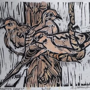 Mourning Dove
