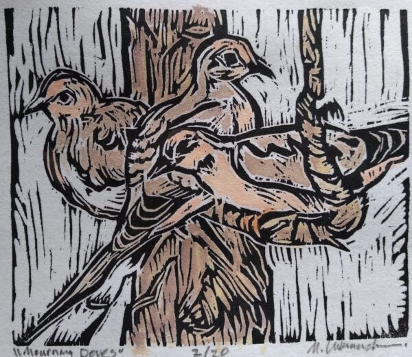 Mourning Dove