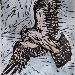 Osprey