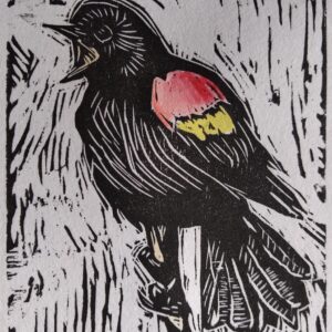 Red Wing Blackbird