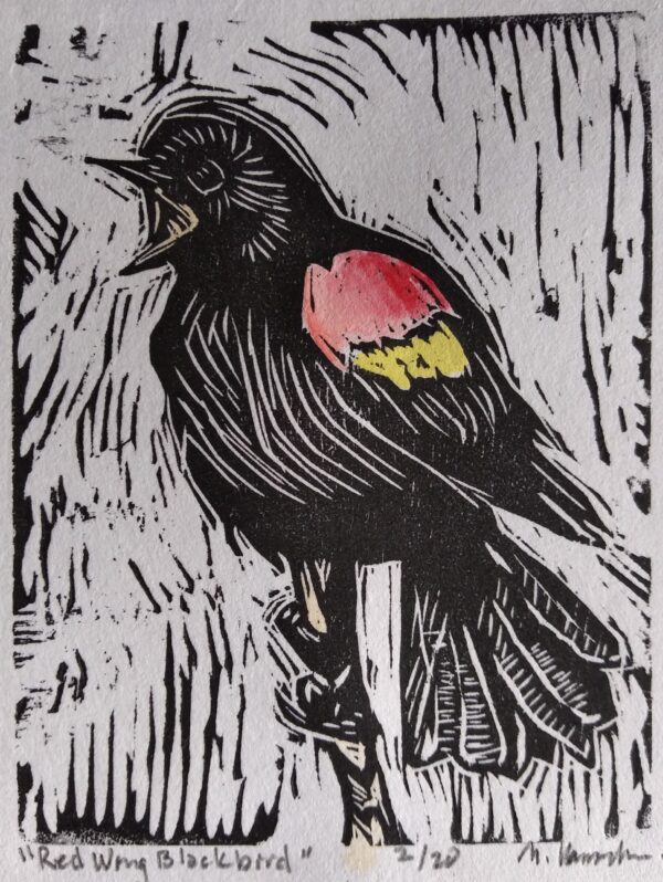 Red Wing Blackbird