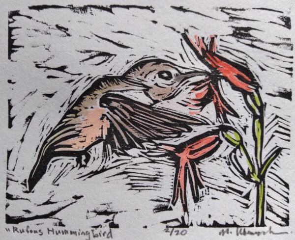 Rufous Hummimgbird