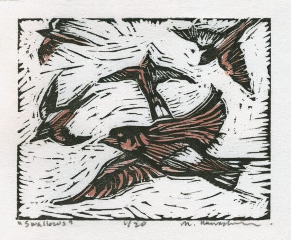 Swallows