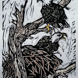 Bald Eagles