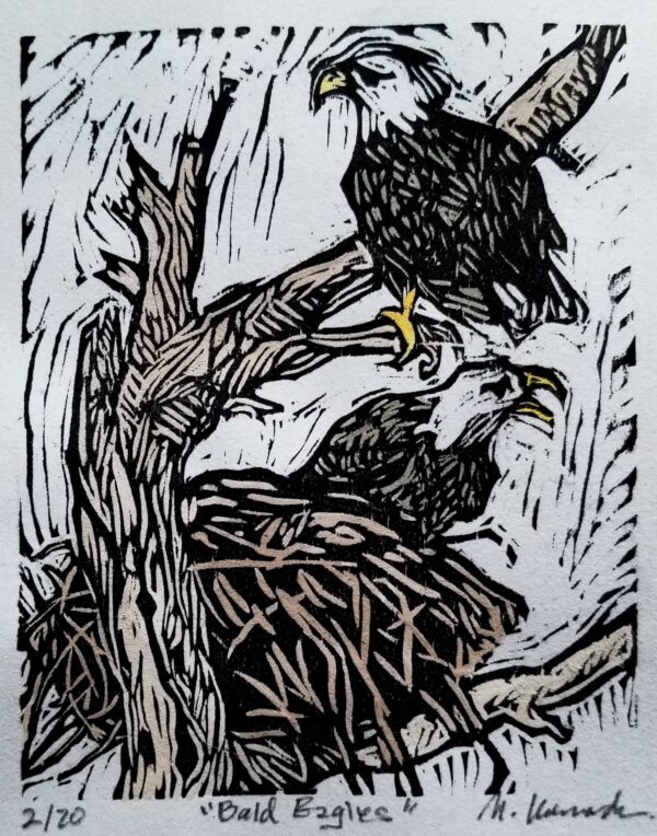 Bald Eagles