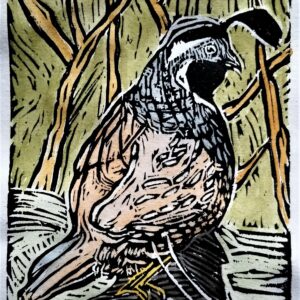 Quail
